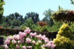 tuintips