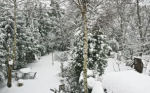 tuinexpert